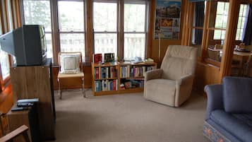 TV, DVD player, books, video library