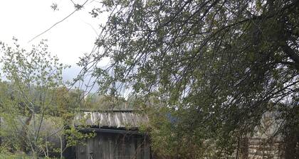 Very rustic early 1900's Cabin 3Queen,1 bedroom,2 outlets.LittleTrailCreekCabins