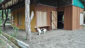 Traditional country-style building with a thatched roof and wooden door.