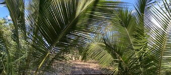 Panorama: Vista Paradise – Integrated Rural Turism Farm