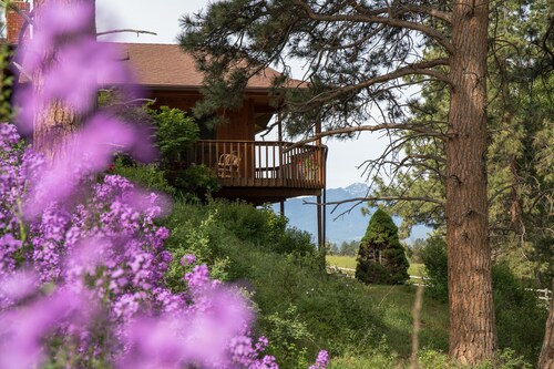 Authentic Montana home in the Bitterroot Valley. Quiet, peaceful, and secluded