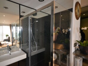 Shower, hair dryer, towels
