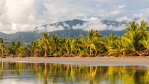A beach with palm trees and a mountain in the background. - Dramatic sea view and exclusive island beach - room with sea view # 2 (Ojochal)