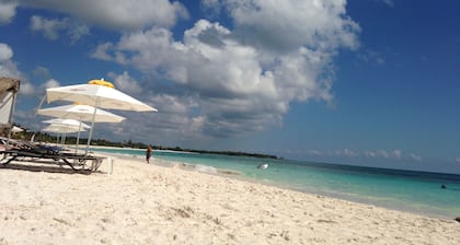 Feb 25th onward avail 150Mbps Wifi 7 Bikes Beach Access Rare Find Contact me 🏖