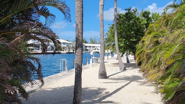 A pathway lined with palm trees leading to a pool area with a clear blue sky.