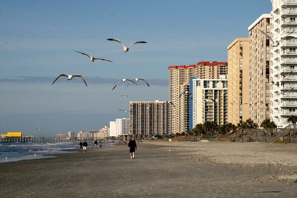 Beach nearby, sun-loungers, beach towels