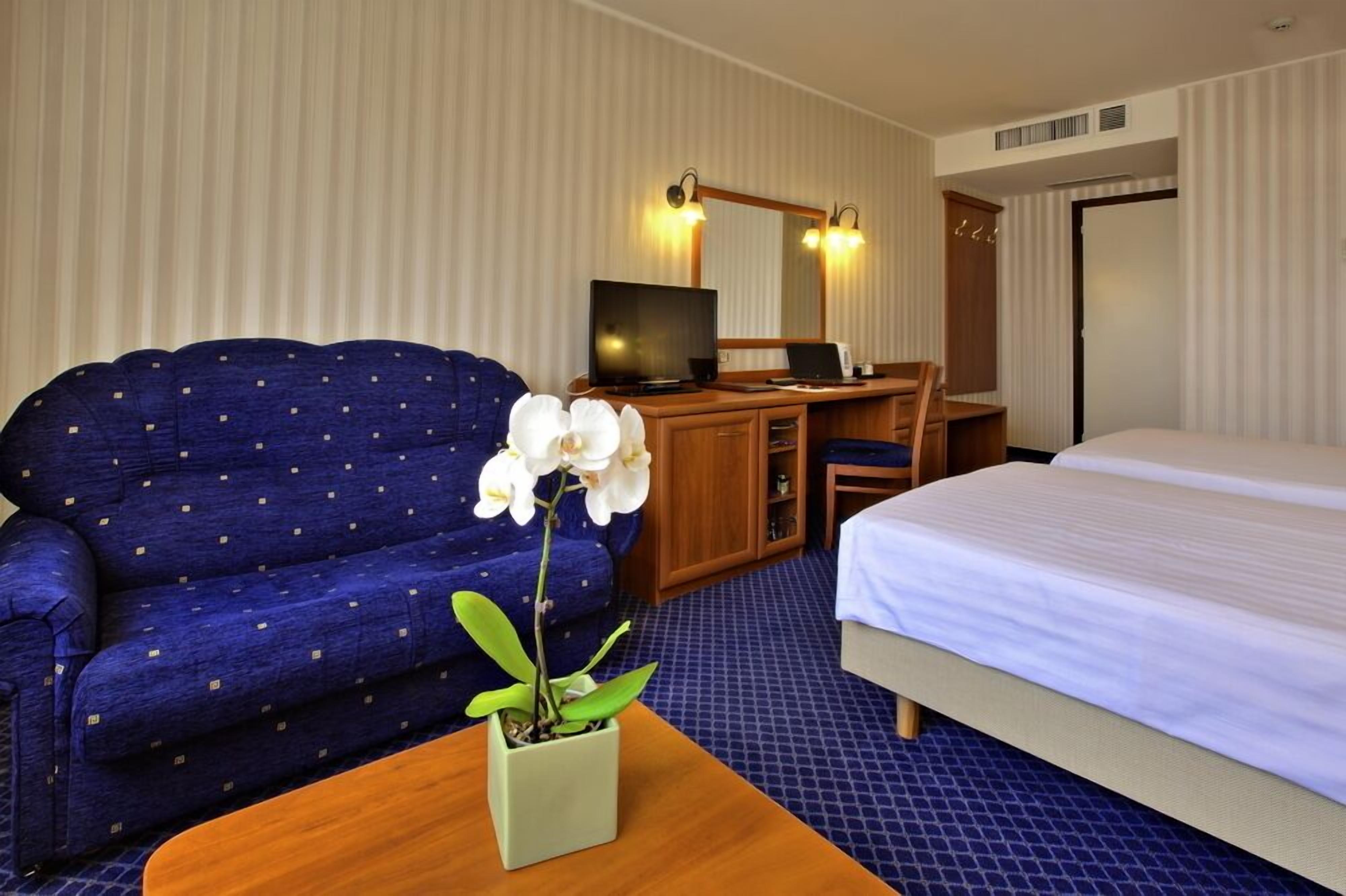 Habitación de hotel con un sofá azul, una cama, un escritorio de madera con una computadora portátil, un televisor y una pequeña orquídea en maceta.