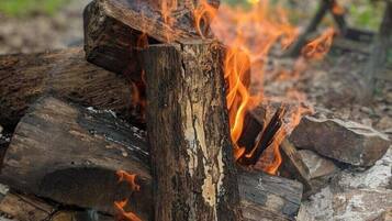 Ein Lagerfeuer mit Baumstämmen und Steinen, umgeben von Bäumen und einem Stuhl im Hintergrund.