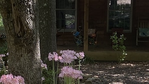Un chemin de pierres menant à une structure en bois, avec un grand arbre et des fleurs roses.