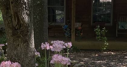 Waterfront Lake House on Table Rock Lake (Kings River Arm)