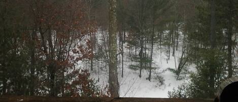 Blick auf einen verschneiten Wald von einer Holzterrasse aus.