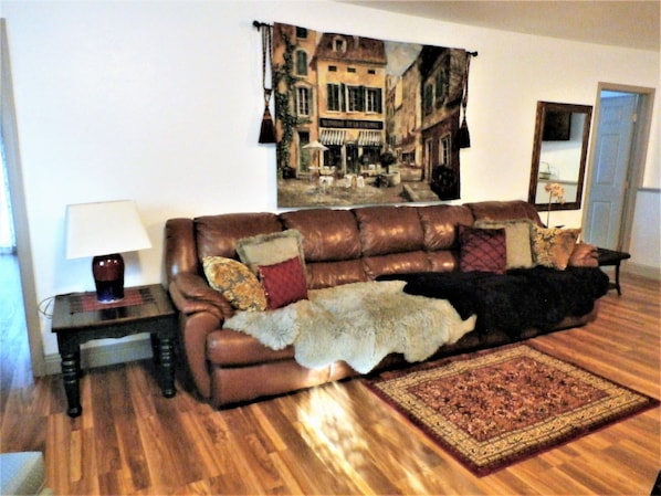 Smart TV, Netflix, DVD player, books