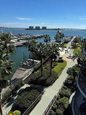 Een jachthaven met aangemeerde boten, een pad omzoomd met palmbomen en uitzicht op het water en verre gebouwen.