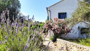 Property grounds - Rustic House Miketa -family- friendly holiday home for nature lovers! (Lukoran)