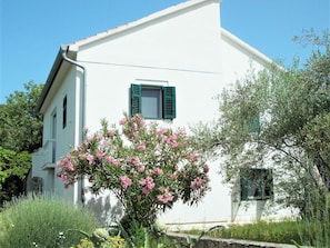 Ulkopuoli