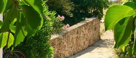 Terrein van de accommodatie