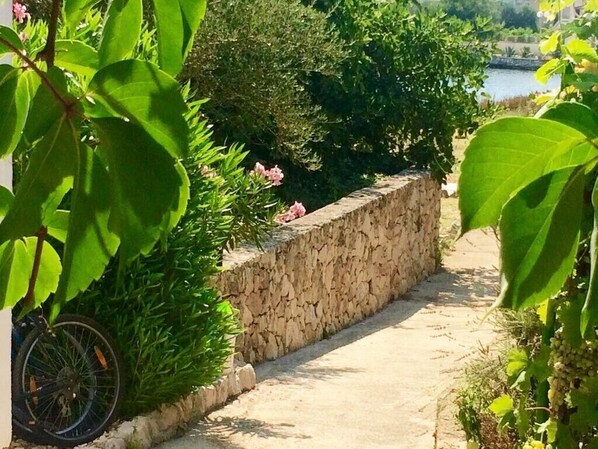 المنطقة المحيطة بالمنشأة