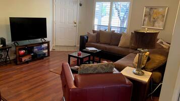 智能電視、壁爐、書籍