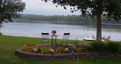 Authentique tranche de l'Alaska