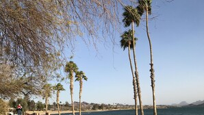 A sandy beach with palm trees and a clear sky.