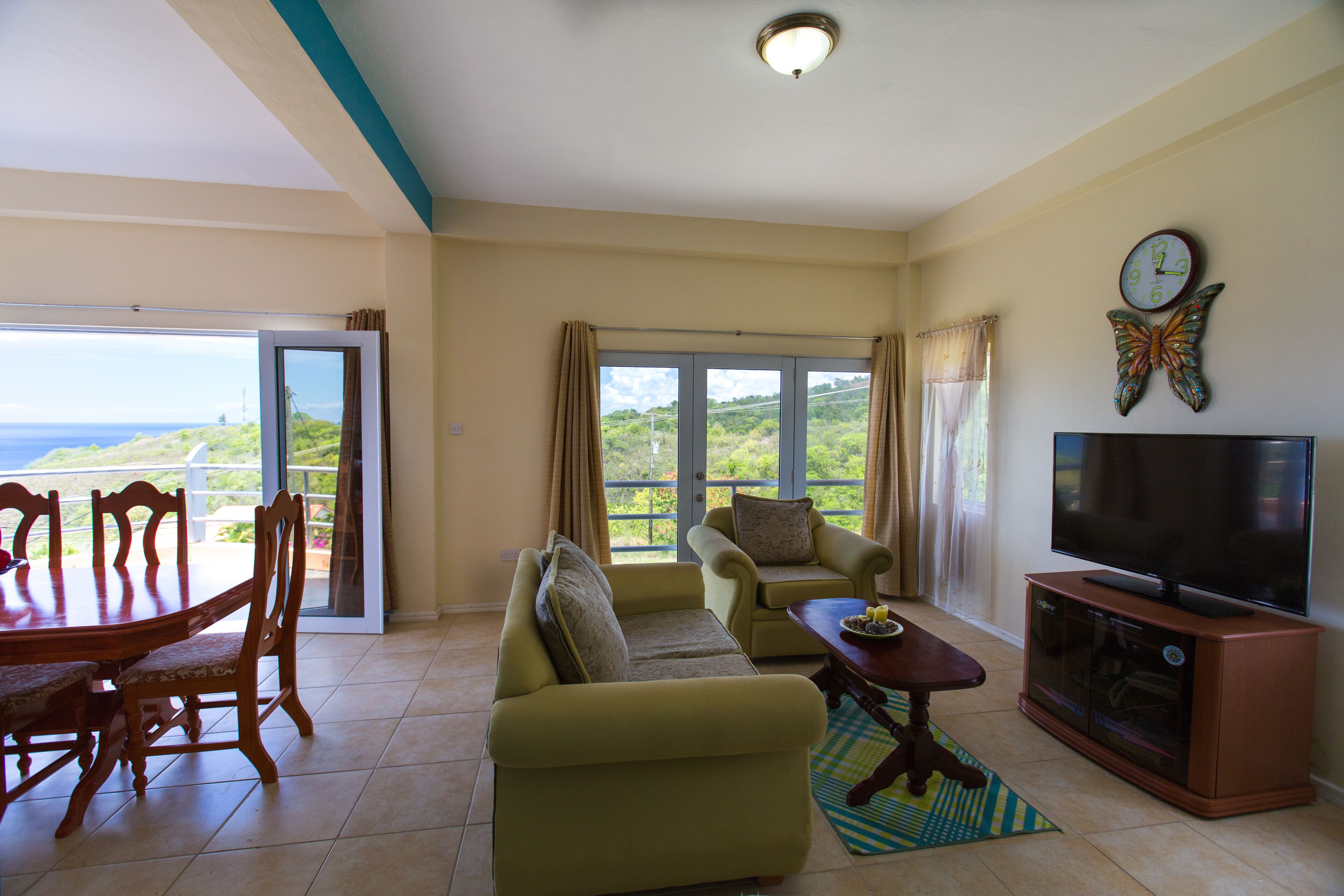 智能電視、DVD 播放機