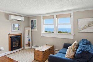 Smart TV, fireplace, books