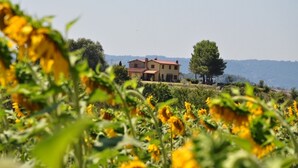 A two-story house with a red roof, surrounded by a field of sunflowers and trees. - Private Home & Private Pool  
Family Friendly/Welcome Dinner
IT055013C2DU035651 (Ficulle, Umbria)