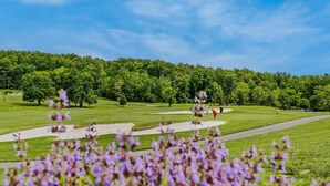 A golf course with a clear sky, lush green grass, and purple flowers in the foreground. - Blue Badger Cottage-wifi, screen porch, fire pit, game room, king bed, fireplace (Berkeley Springs)