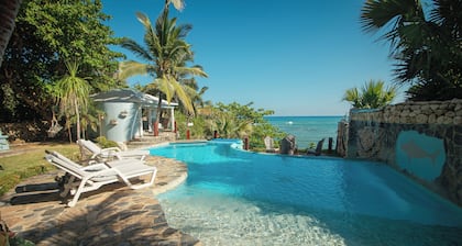 The SeaDog Inn-Spectacular Oceanfront Villa