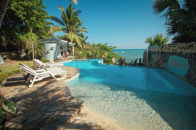 The SeaDog Inn-Spectacular Oceanfront Villa