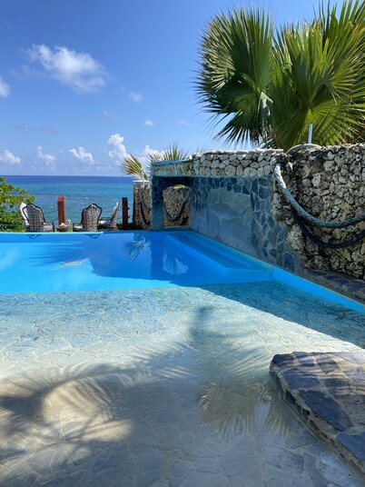 The SeaDog Inn-Spectacular Oceanfront Villa