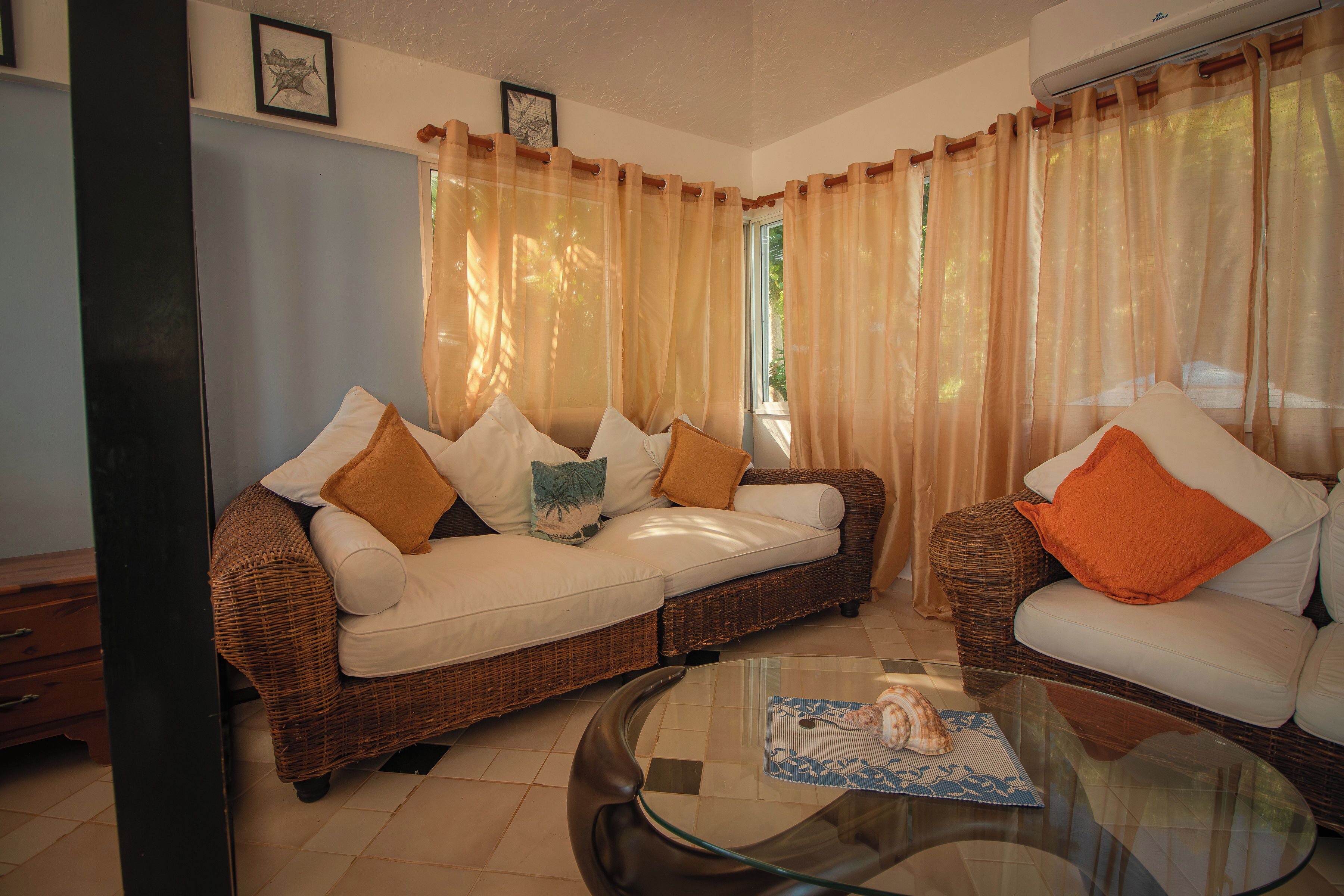 Smart TV, DVD player, books, music library