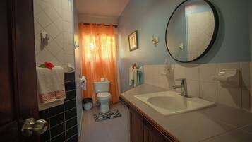Une salle de bain équipée d’un lavabo, d’un miroir, de toilettes et d’un espace douche.