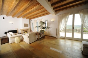 Smart TV, chimenea, reproductor de DVD y libros 