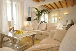 Smart TV, chimenea, reproductor de DVD, libros