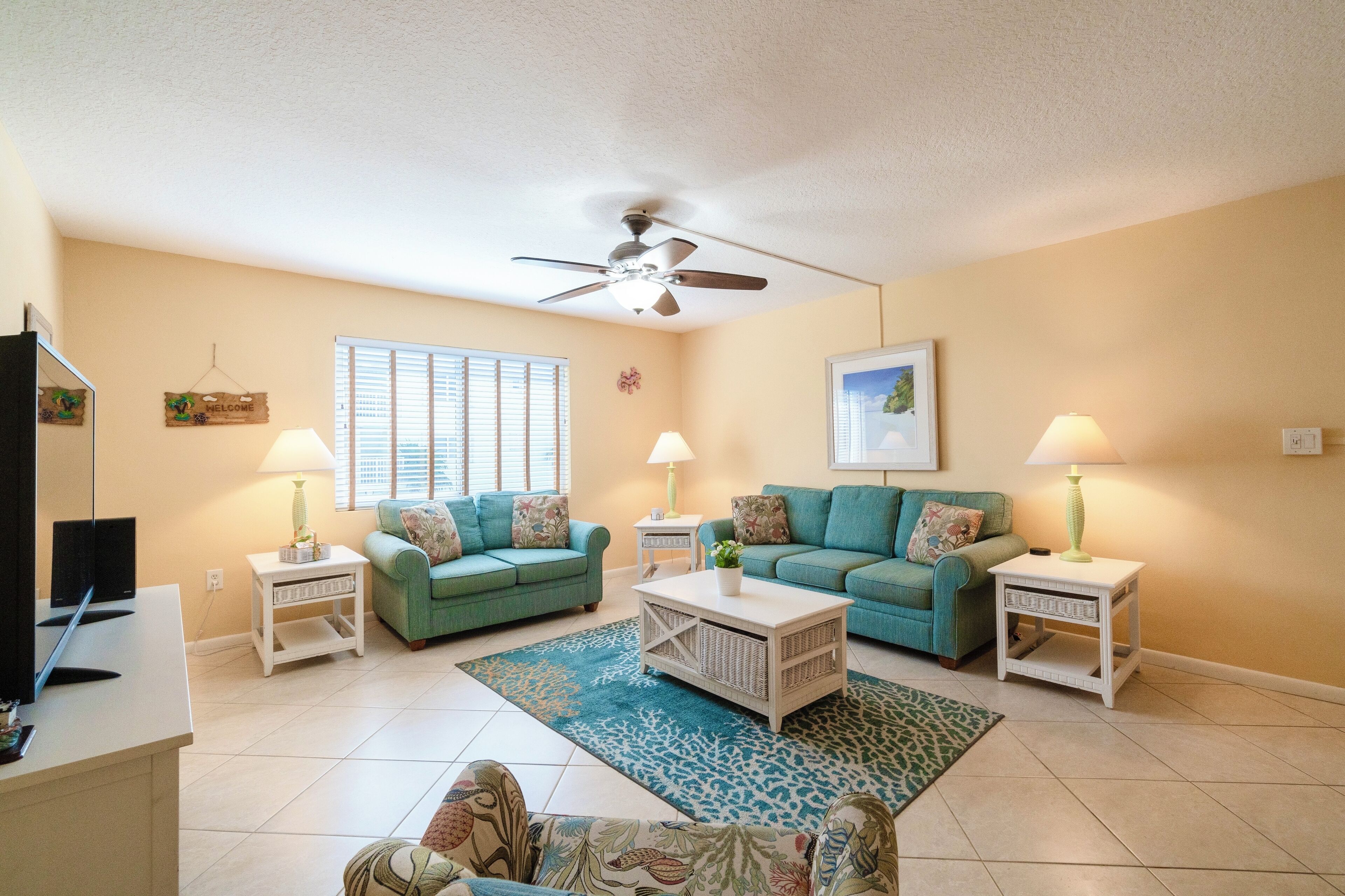 Una televisión, una videoteca