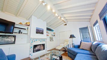 Televisión, chimenea, reproductor de DVD y libros