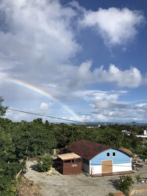 标准双床房 | 客房景观