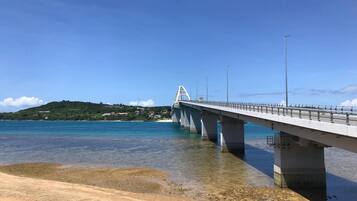 Spanning the coastline, this bridge connects to a scenic landmass with lush hills and charming buildings.