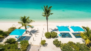 A beach with clear turquoise water, a palm tree, and blue umbrellas.