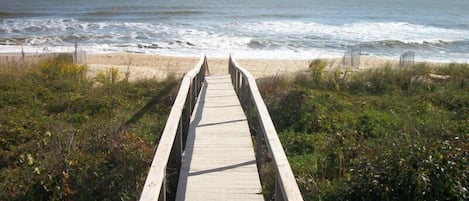 Beach | On the beach, sun-loungers