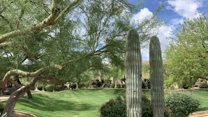 A landscaped garden with cacti and trees, a well-maintained lawn, and a clear sky.