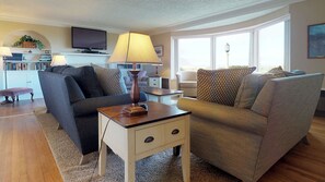 تلفزيون، مشغل دي في دي