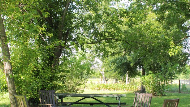 A picnic table with chairs in a grassy area surrounded by trees. - Come Live on the farm  (Starke)