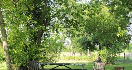 Come Live on the farm