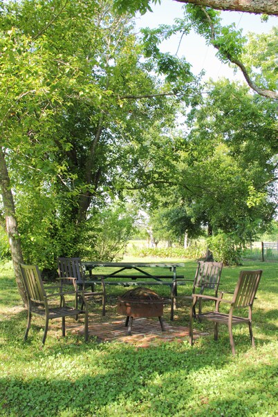 Come Live on the farm 