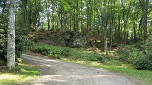 Property grounds - Pebble Creek Magical Retreat 23 acres Sleeps 17 Log House Large Shelter Deck (Laurel Fork)