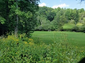Golf - Pebble Creek Magical Retreat 23 acres Sleeps 17 Log House Large Shelter Deck (Laurel Fork)