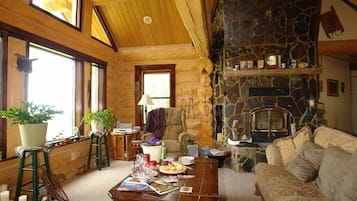 Fireplace, DVD player, books