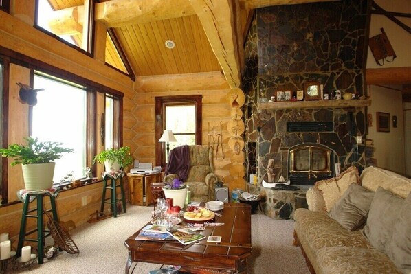 Chimenea, reproductor de DVD y libros 